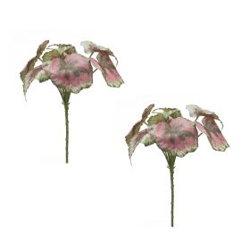 Begonia Leaf (Set of 2) 11.5"H Polyester