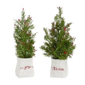 Potted Tree (Set of 2) 14.25"H, 16.5"H Plastic