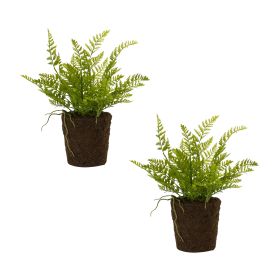 Potted Fern Bush (Set of 2) 15"H Plastic