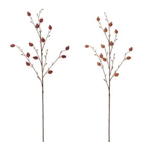 Pomegranate Spray (Set of 2) 40"H Foam