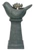 18.7x10.6x28.5" Decorative Gray Bird Pedestal Outdoor Water Fountain with Light and Pump