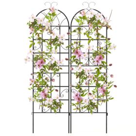 2 Pack 71 x 20 Inch Metal Garden Trellis for Climbing Plants