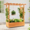 Raised Garden Bed with Trellis or Climbing Plant and Pot Hanging